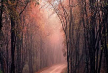 皇冠体育：利雅得胜利主场！沙特vs国足的沙特国王大学体育场已经做好准备.