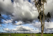 克莱因丁斯特造点基米希主罚打进，德国总比分3-1领先.