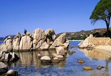 皇冠体育:狂胜37分!山东赢新疆不到1小时,邱彪做出2个重要决定,剑指辽篮.